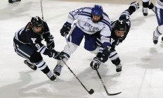 米兰体育官方网站-鹈鹕展翅险胜广厦，武切维奇关键一击定乾坤