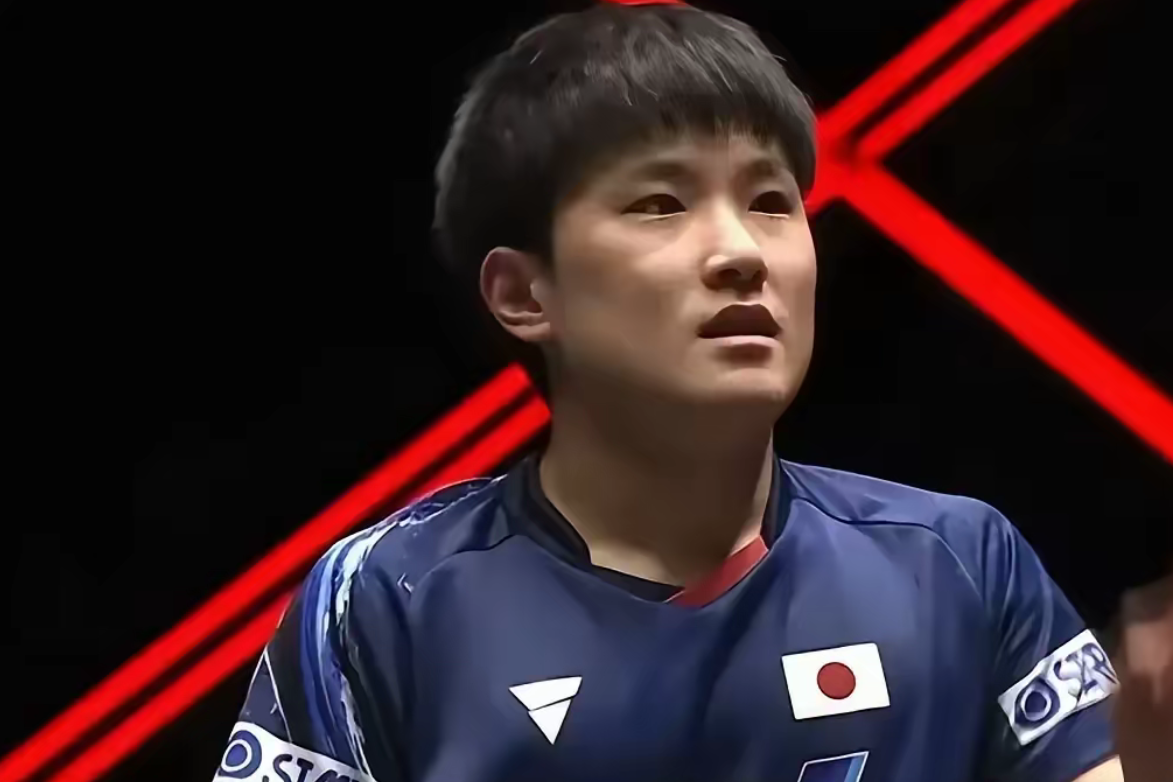 包含比利时乒乓球队强势波兰乒乓球队，张本智和高光表现的词条